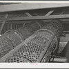 Rollers used in stationary-type mechanical hop picker. Yakima County, Washington