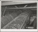 Rollers used in stationary-type mechanical hop picker. Yakima County, Washington