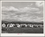 Housing for hop pickers and workers, Yakima County, WA. Growers of hops provide some type of housing ranging from tents to fairly comfortable cabins; they provide wood, electricity (in some cases), water, sanitary facilities, and in some cases potatoes