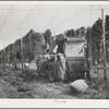 Portable-type hop picker at work in the fields, Yakima County, Washington. In 1940 there were 2 mechanical pickers in this county, this year  there were 38, 33 of which were this type. Using the machines 15 men displace on same numbers of hours worked