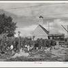 Hop pickers. Yakima County, Washington