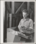 Farm worker practicing wrapping apples in the apple wrapping school at the FSA (Farm Security Administration) farm family migratory labor camp. Yakima, Washington