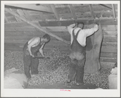 Index