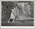 Mowing the lawn. Yakima County, Washington