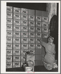 Putting labels on cases of canned salmon at the Columbia River Packing Association. Astoria, Oregon. This plant put up more than 125,000 cases of salmon in the first five days of the phenomenal salmon run this fall