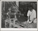 Canned tuna coming from sterlizing compartment. It will next be cooked for an hour. Columbia River Packing Association, Astoria, Oregon