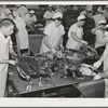 Skinning cooked tuna before canning. Columbia River Packing Association, Astoria, Oregon