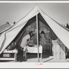 Library tent at the FSA (Farm Security Administration) mobile camp for migratory farm workers. Odell, Oregon. The girls working in the library receive credit in the Junior Campers League for work in the library