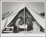 Library tent at the FSA (Farm Security Administration) mobile camp for migratory farm workers. Odell, Oregon. The girls working in the library receive credit in the Junior Campers League for work in the library