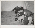 Peanut race. Amateur night at the FSA (Farm Security Administration) mobile camp for migratory farm workers. Odell, Oregon