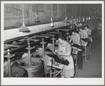 Grading, wrapping and packing pears at Hood River, Oregon. 6,500,000 boxes of freshly packed fruit are shipped from Hood River annually