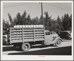 Crates of pears going into town for shipment by rail to the markets. Hood River, Oregon