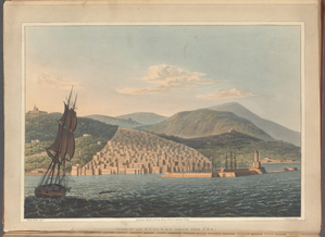 Narrative of a residence in Algiers