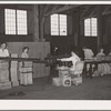 Labeling and packing canned salmon. Astoria, Oregon