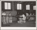 Labeling and packing canned salmon. Astoria, Oregon