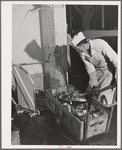 Fish parts (heads, tails) which will be boiled to extract oil which is used in packing salmon and has high vitamin content. Columbia River Packing Association, Astoria, Oregon