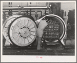 Putting trays of canned salmon into ovens for cooking. Columbia River Packing Association, Astoria, Oregon