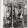Tuna being weighed in at the Columbia River Packing Association. Astoria, Oregon
