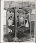 Tuna being weighed in at the Columbia River Packing Association. Astoria, Oregon