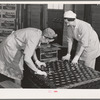 Packing canned salmon into cans at the Columbia River Packing Association. Astoria, Oregon