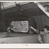 Tuna fish. Columbia River Packing Association, Astoria, Oregon
