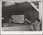 Tuna fish. Columbia River Packing Association, Astoria, Oregon