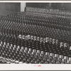 Stacks of canned salmon. Columbia River Packing Association, Astoria, Oregon
