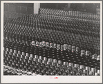 Stacks of canned salmon. Columbia River Packing Association, Astoria, Oregon