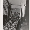 Heads and tails of salmon which will be boiled to reclaim the valuable oils. Columbia River Packing Association, Astoria, Oregon