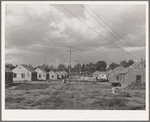 Housing built by contractor at Umatilla ordnance depot for office workers. Hermiston, Oregon