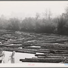 Cowlitz County, Washington. Log pond