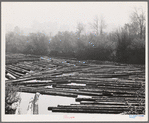 Cowlitz County, Washington. Log pond