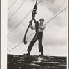 Lumberjack ready to sink the hook into a log. Long Bell Lumber Company, Cowlitz County, Washington