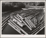 Long Bell Lumber Company, Cowlitz County, Washington. Log pond