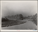 Long Bell Lumber Company, Cowlitz County, Washington