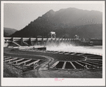 Gate controlled spillway dam and fish ladders in foreground at Bonneville Dam, Oregon