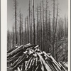 Clearing the Tillamook burn area of Tillamook County, Oregon. See caption for 70681-D
