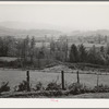 View of Tillamook County, Oregon, a dairying section