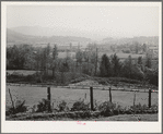 View of Tillamook County, Oregon, a dairying section