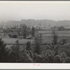 View in Tillamook County, Oregon