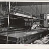 Tillamook cheese plant. Tillamook County, Oregon. A lactic ferment starter is added when the milk is poured into these 10,000 pound stainless steel vats. Worker is testing acidity of curdling milk