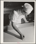 Tillamook cheese plant. Tillamook County, Oregon. Workman determining degree of progress in curdling milk