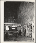 Dairy farmer unloading field beets in his barn. Tillamook County, Oregon