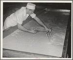 Breaking up curdling milk is one of the first steps of cheesemaking. Tillamook cheese plant, Tillamook, Oregon. This also distributes evenly the lactic ferment starter