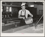 Step in cheese making. Tillamook cheese plant, Tillamook, Oregon