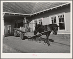 Dairy farmer takes home his empty milk cans from the Tillamook cheese plant. Tillamook, Oregon