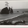 Tillamook County, Oregon. The coast