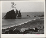 Tillamook County, Oregon. The coast