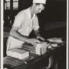 Putting the curd into molds for pressure. Tillamook cheese plant, Tillamook, Oregon