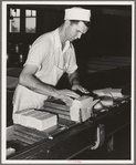 Putting the curd into molds for pressure. Tillamook cheese plant, Tillamook, Oregon